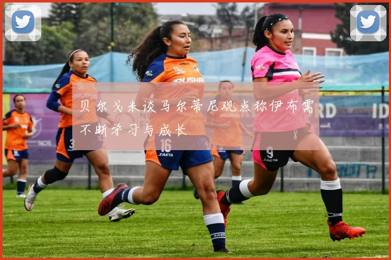 贝尔戈米谈马尔蒂尼观点称伊布需不断学习与成长